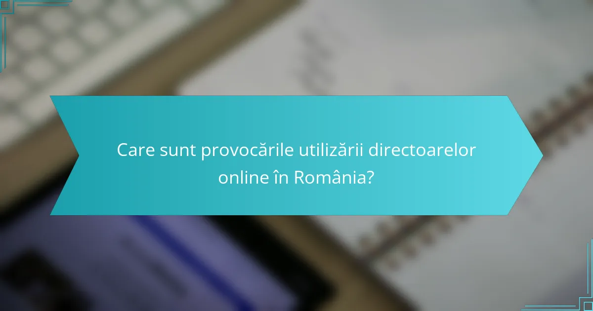 Care sunt provocările utilizării directoarelor online în România?