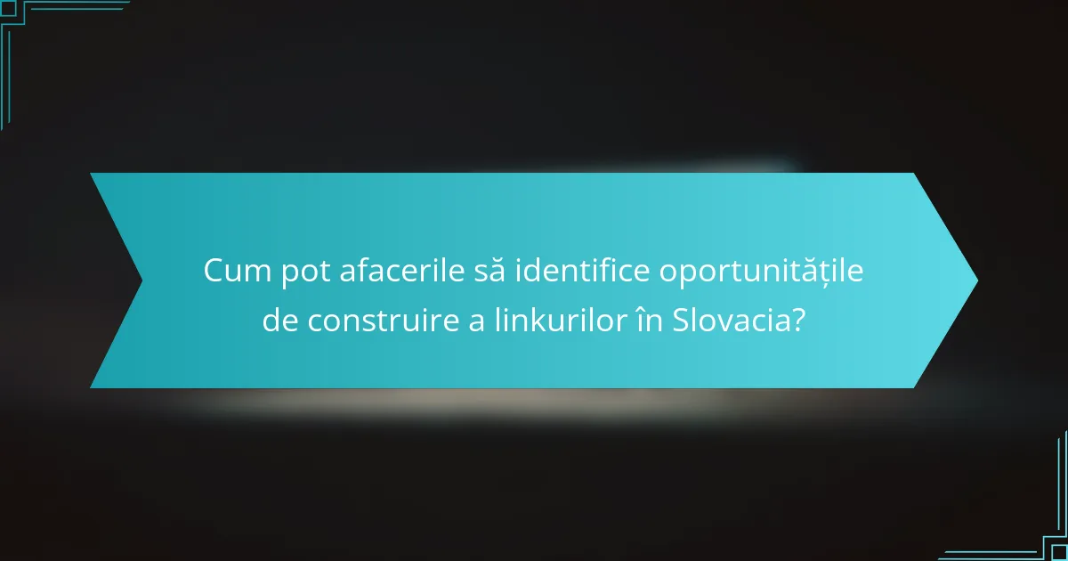 Cum pot afacerile să identifice oportunitățile de construire a linkurilor în Slovacia?