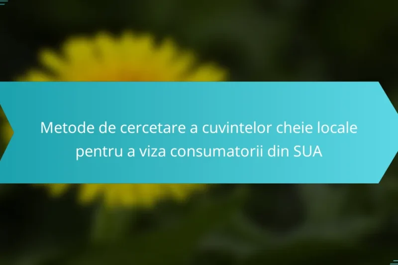 Metode de cercetare a cuvintelor cheie locale pentru a viza consumatorii din SUA